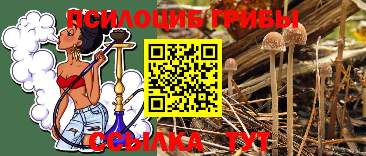 Изобильный  Галлюциногенные грибы Psilocybine cubensis  Вход с VPN  Псилоцибиновые грибы MAGIC MUSHROOMS 